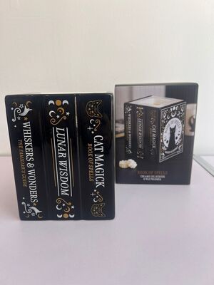 BOOK OF SPELLS. CANDLES BY CAROL 