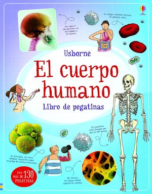 EL CUERPO HUMANO