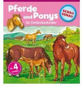 CABALLOS Y PONIS (A PARTIR DE 4 A¥OS)