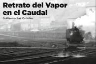 RETRATO DEL VAPOR EN EL CAUDAL