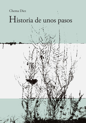 HISTORIA DE UNOS PASOS