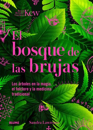 EL BOSQUE DE LAS BRUJAS