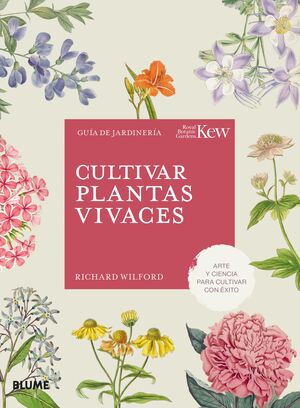 CULTIVAR PLANTAS VIVACES - BLUME