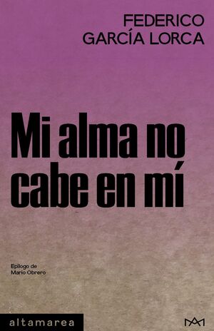 MI ALMA NO CABE EN MÍ