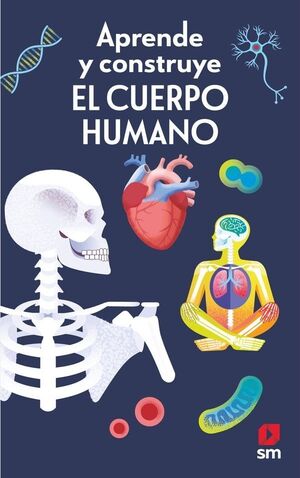 EL CUERPO HUMANO