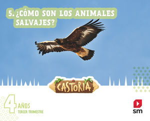 CASTORIA 4 AÑOS 3º TRIMESTRE 22