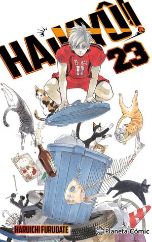 HAIKYU!! Nº 23/45