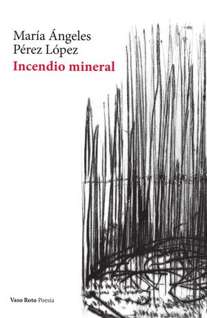 INCENDIO MINERAL