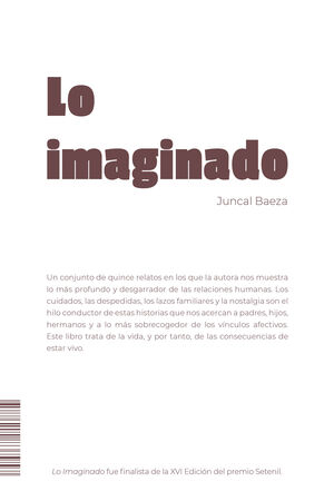 LO IMAGINADO