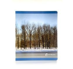 INVIERNO