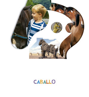 EL CABALLO PROYECTO ¿LO VES? (EDELVIVES)