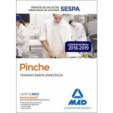 PINCHE (SESPA) TEMARIO PARTE ESPECÍFICA 2018-2019