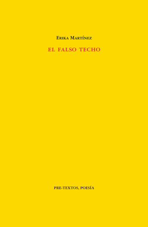 EL FALSO TECHO