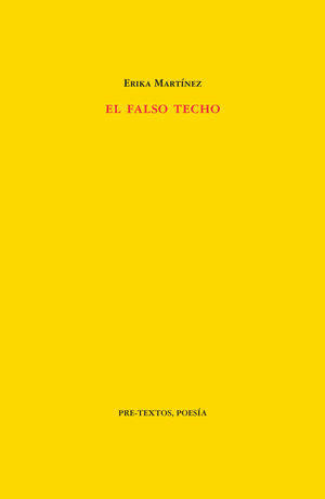 EL FALSO TECHO