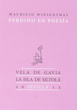 PERDIDO EN POESÍA