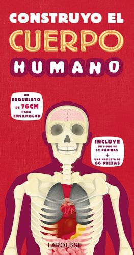 CONSTRUYO EL CUERPO HUMANO