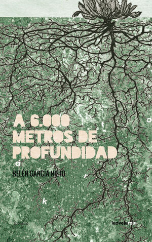A 6.000 METROS DE PROFUNDIDAD
