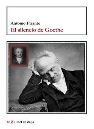 EL SILENCIO DE GOETHE