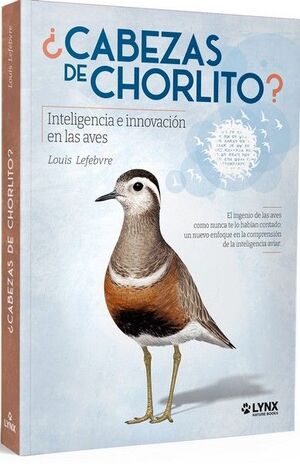 CABEZAS DE CHORLITO - LYNX