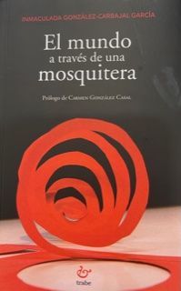 EL MUNDO A TRAVES DE UNA MOSQUITERA
