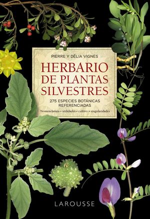 HERBARIO DE PLANTAS SILVESTRES