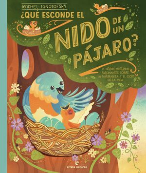 QUÈ ESCONDE EL NIDO DE UN PÁJARO?