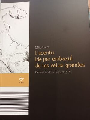 L'ACENTU DE PER EMBAXU DE LES VELUX GRANDES