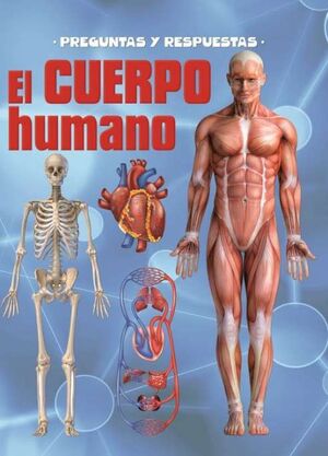 EL CUERPO HUMANO