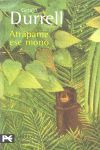 ATRÁPAME ESE MONO