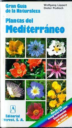 PLANTAS DEL MEDITERRÁNEO