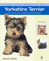 YORKSHIRE TERRIER