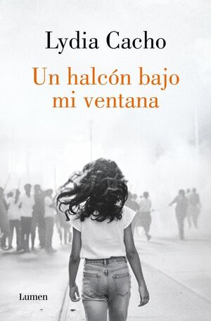 UN HALCÓN BAJO MI VENTANA