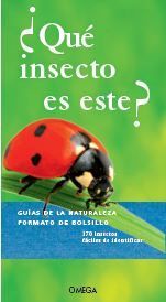 QUE INSECTO ES ESTE?