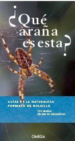 QUE ARAÑA ES ESTA?