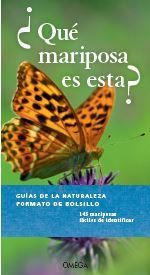 QUE MARIPOSA ES ESTA?