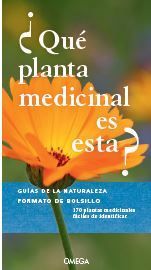 QUE PLANTA MEDICINAL ES ESTA?