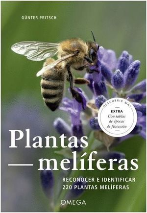 PLANTAS MELÍFERAS