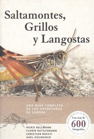 SALTAMONTES GRILLOS Y LANGOSTAS