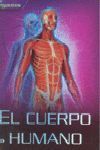 EL CUERPO HUMANO