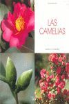 LAS CAMELIAS