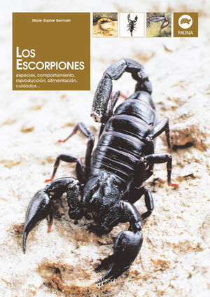 LOS ESCORPIONES
