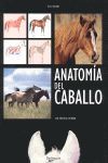 ANATOMÍA DEL CABALLO