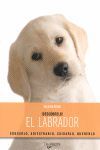 EL LABRADOR ­DESCUBRELO!