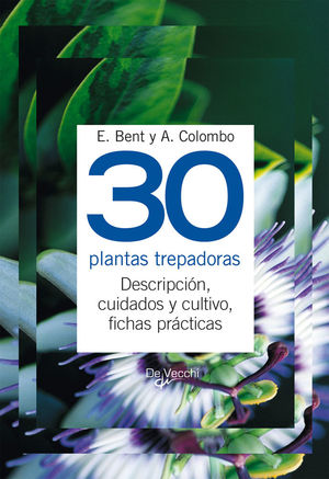 30 PLANTAS TREPADORAS