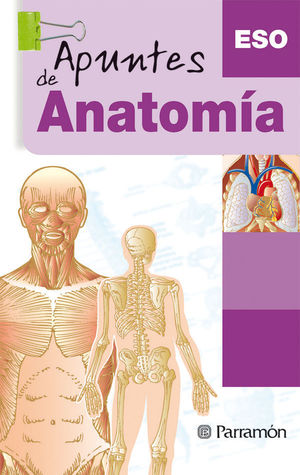 APUNTES DE ANATOMÍA