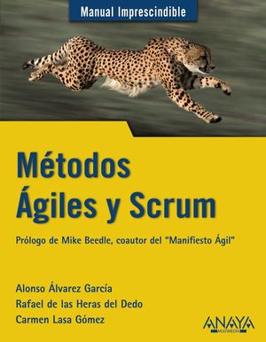 MÉTODOS ÁGILES Y SCRUM