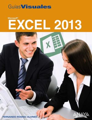 EXCEL 2013