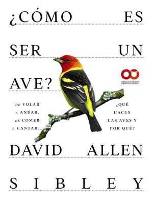 COMO ES SER UN AVE? DE VOLAR A ANIDAR, DE COMER A CANTAR... QUE HACEN LAS AVES Y