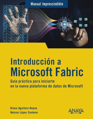 INTR.A MICROSOFT FABRIC