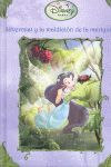 SILVERMIST Y LA MALDICIÓN DE LA MARIQUITA